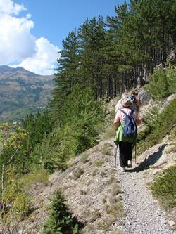 photo de patients marchant en montagne